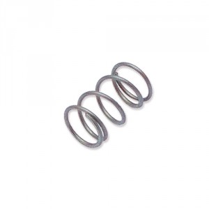 Trend WP-T4/039 Spring (8mm) t4